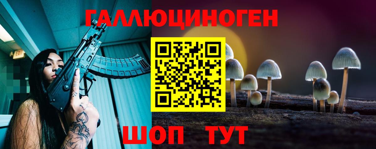 Галлюциногенные грибы ЛСД Гатчина