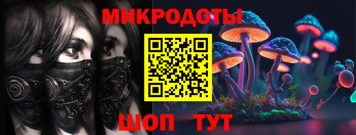 Гатчина  Галлюциногенные грибы мицелий  Вход с VPN 
