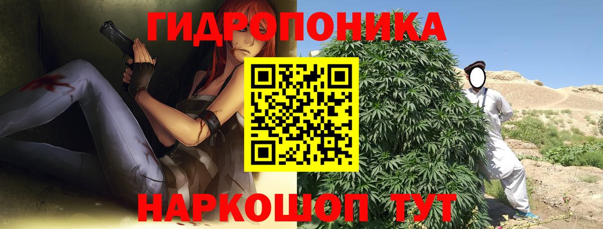Бошки Шишки VHQ  Вход с VPN  Гатчина  Марихуана Ganja  Бошки Шишки AK-47  МАРИХУАНА Amnesia 